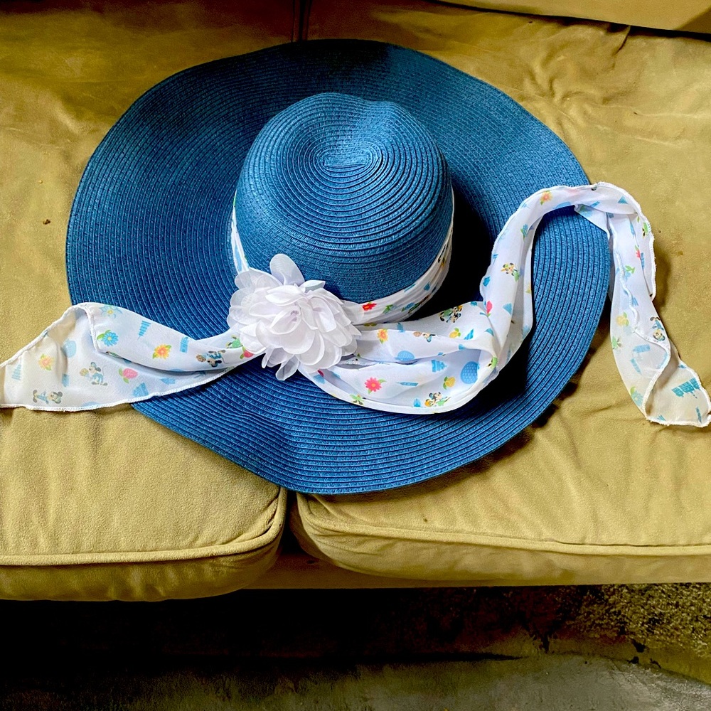Disney womens hat